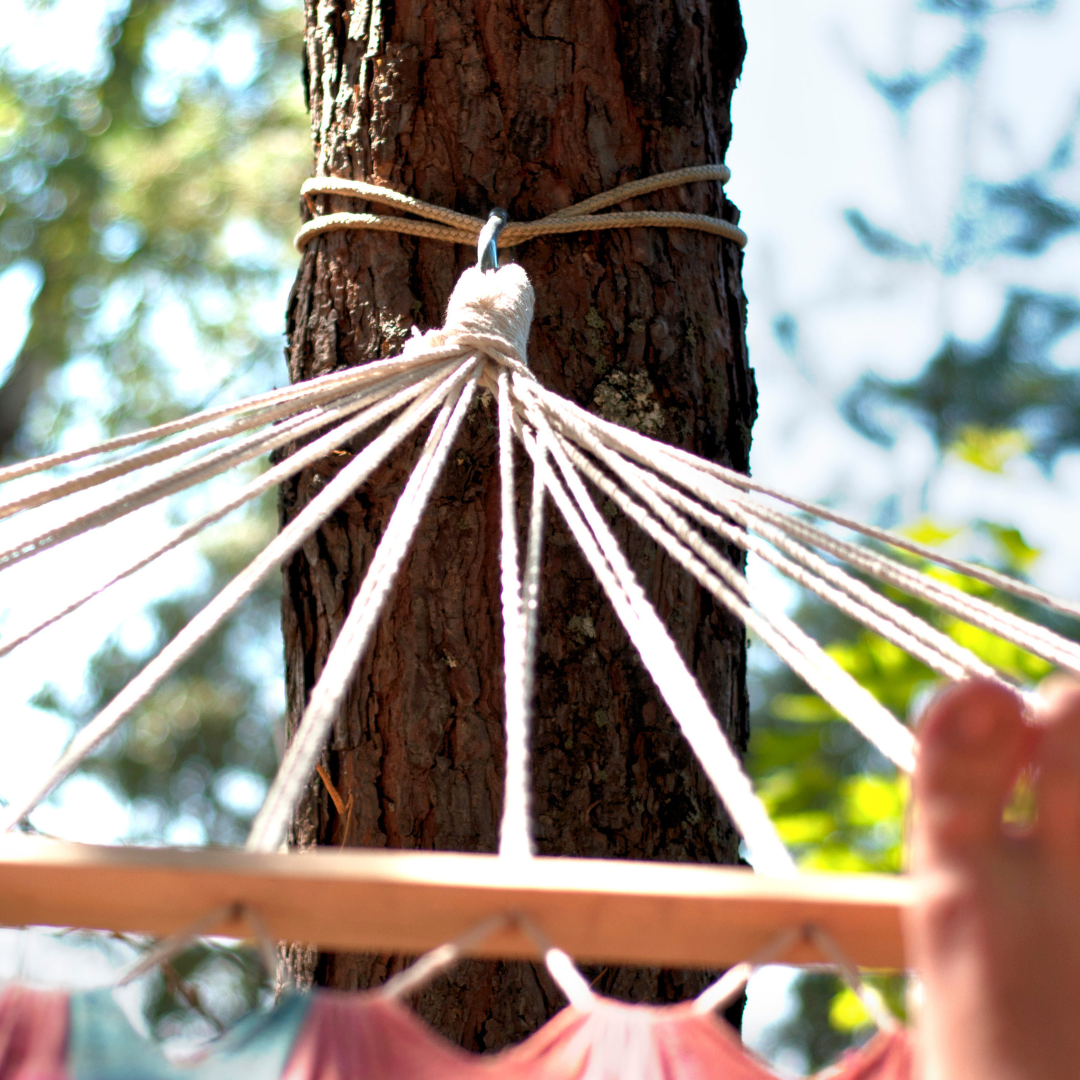 A closeup of the end of a hammock tied to a tree.